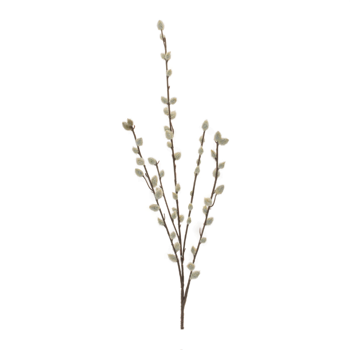 Pussy willow twig spray (set of 6)