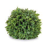 Boxwood foliage orb (set of 2)