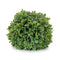 Boxwood foliage orb (set of 2)