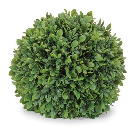 Boxwood foliage orb (set of 2)