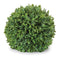 Boxwood foliage orb (set of 2)