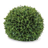Boxwood foliage orb 13"d