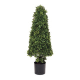 Potted boxwood foliage topiary 38"h
