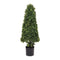 Potted boxwood foliage topiary 38"h