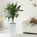 Pack of 2 Square Planters with Automatic Watering System - 22 Inch