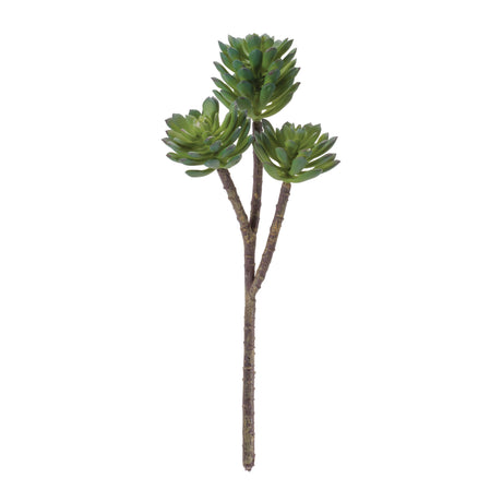 Succulent plant pick (set of 6)