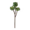 Succulent plant pick (set of 6)