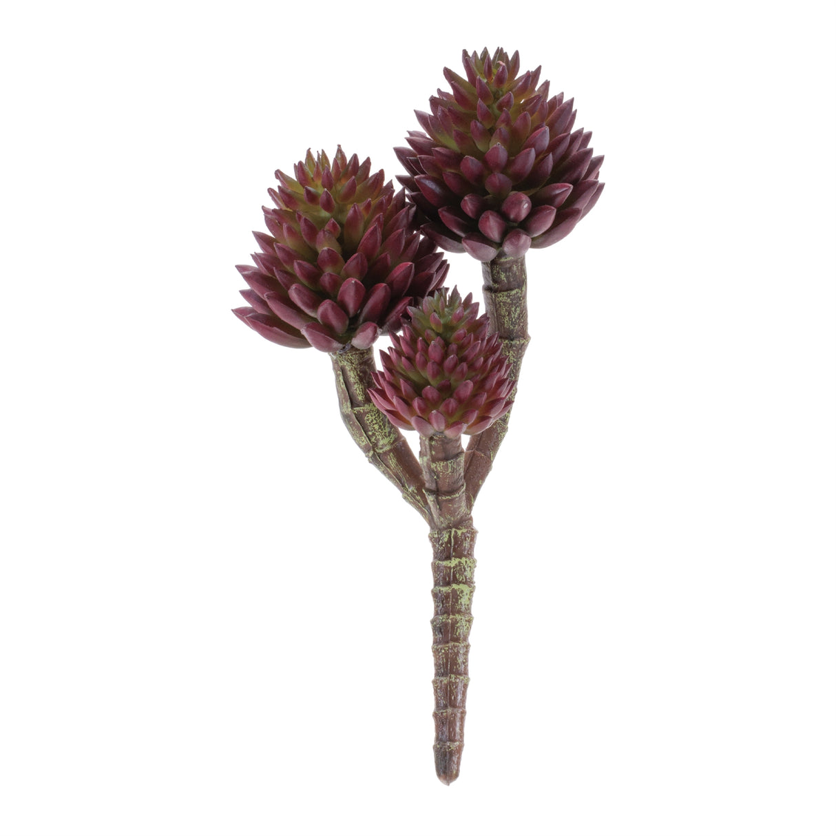 Succulent plant pick (set of 6)
