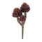 Succulent-plant-pick-(set-of-6)-Artificial-Flowering-Plants