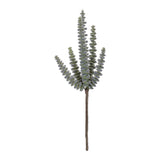 Succulent plant pick (set of 6)