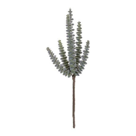 Succulent plant pick (set of 6)