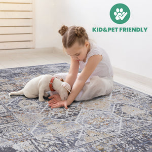 Payas - 5' X 7' Traditional Area Rug - Multi