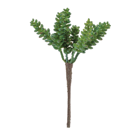 Succulent plant pick (set of 6)