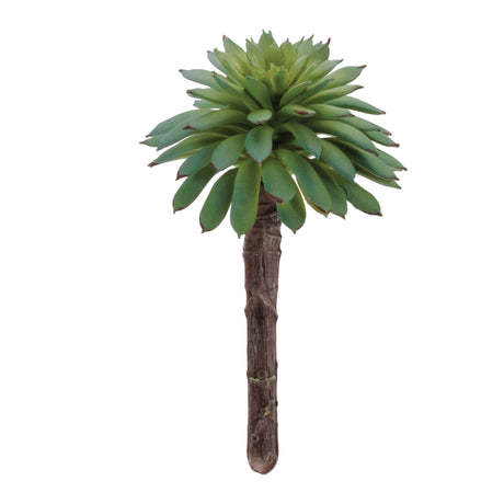 Succulent plant pick (set of 12)