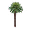 Succulent plant pick (set of 12)