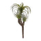 Air-plant-succulent-pick-(set-of-6)-Artificial-Flowering-Plants