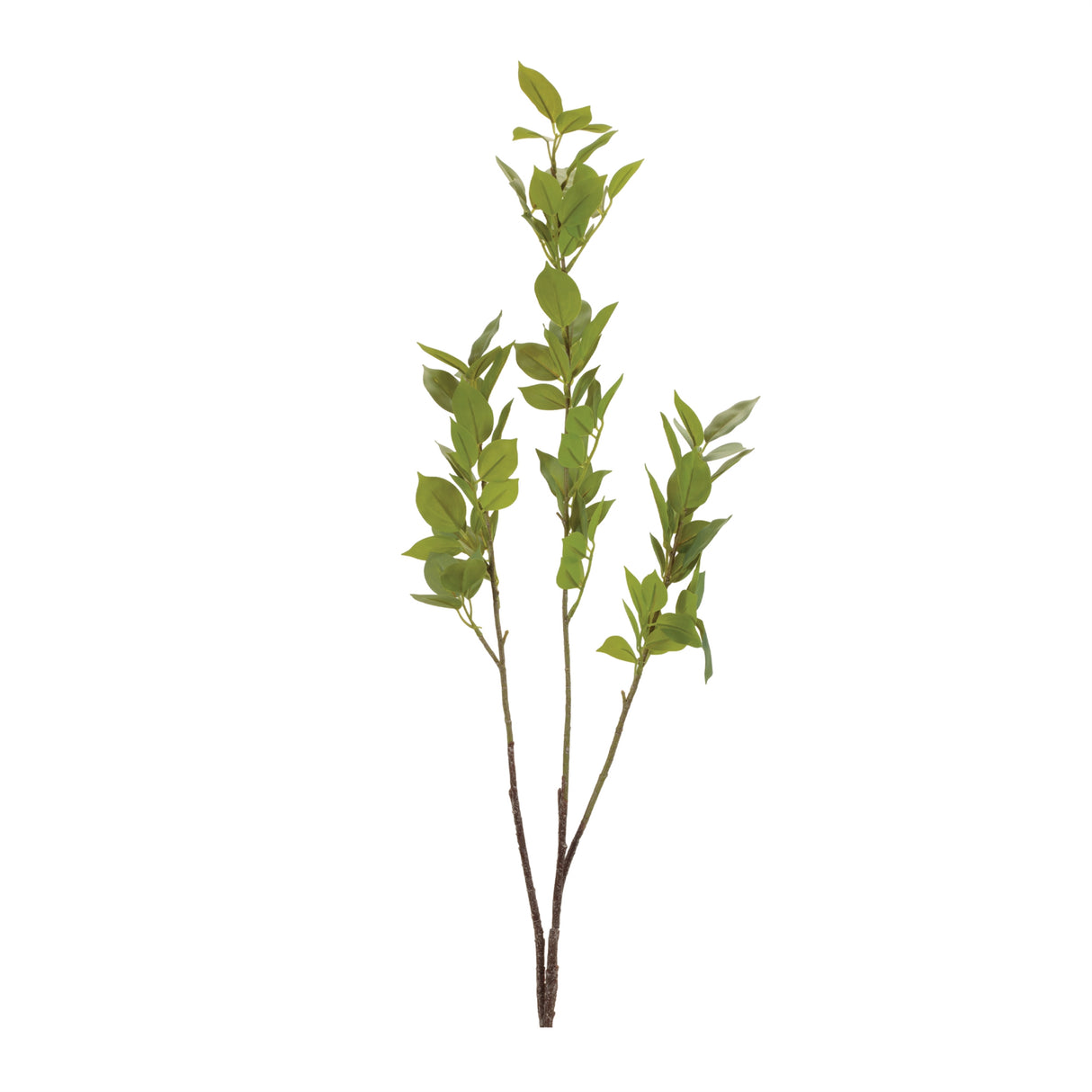 Leaf foliage branch (set of 6)