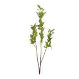 Leaf foliage branch (set of 6)