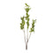 Leaf-foliage-branch-(set-of-6)-Artificial-Flowering-Plants