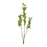 Leaf-foliage-branch-(set-of-6)-Artificial-Flowering-Plants