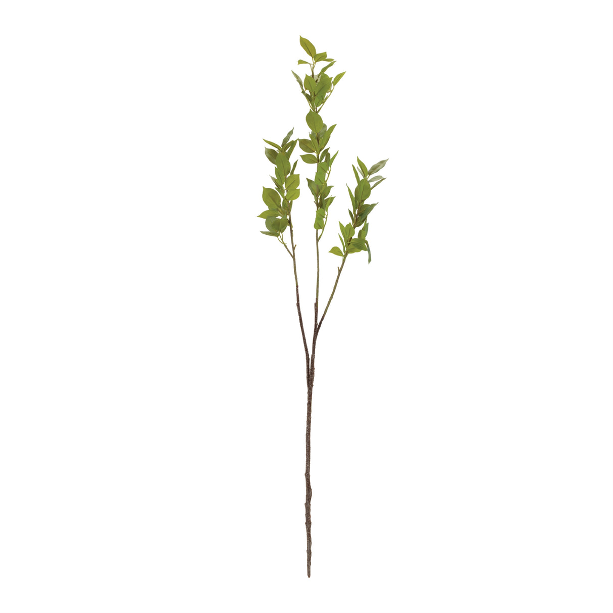 Leaf foliage branch (set of 6)