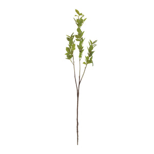 Leaf Foliage Branch (Set of 6)