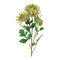 Mum floral spray (set of 4)