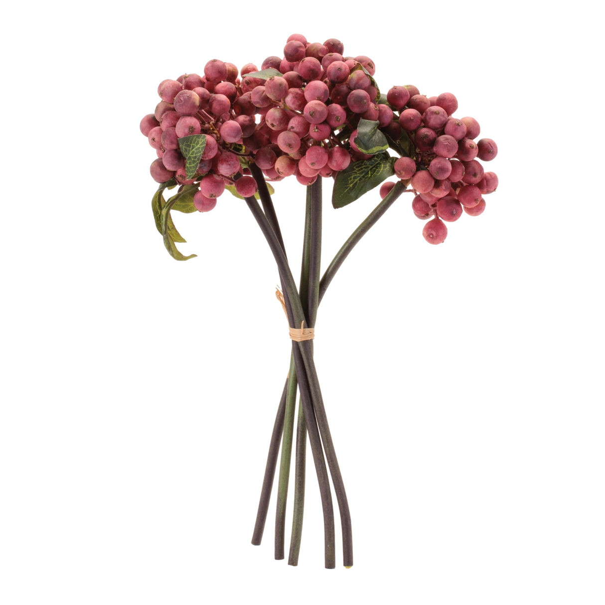 Berry stem bundle (set of 4)