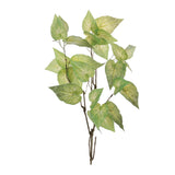 Anthurium leaf branch (set of 4)
