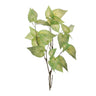 Anthurium leaf branch (set of 4)