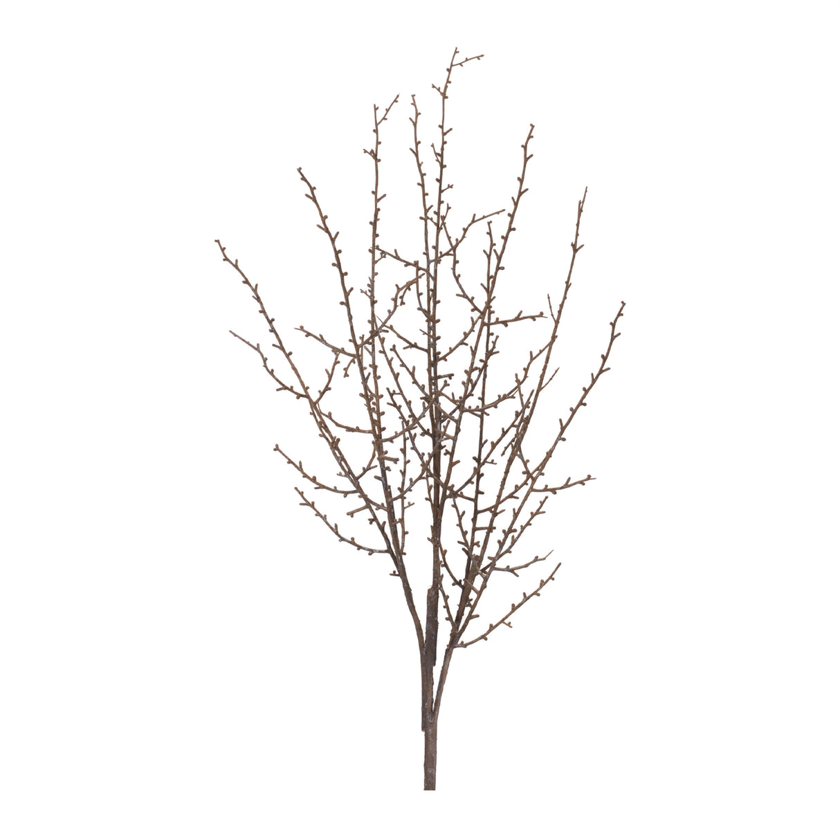 Birch twig branch (set of 6)