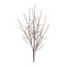 Birch twig branch (set of 6)