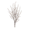 Birch Twig Branch (Set of 6)