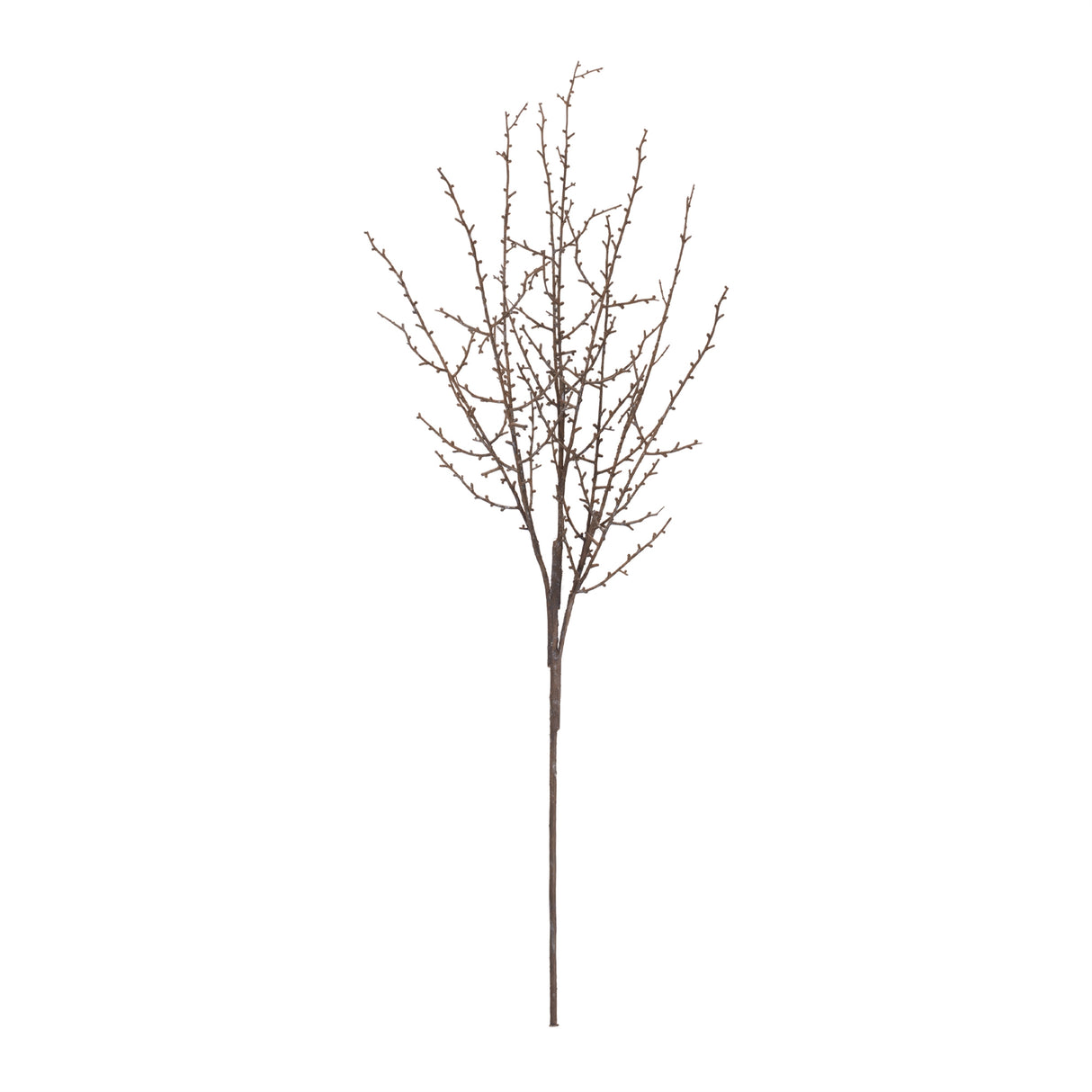 Birch twig branch (set of 6)
