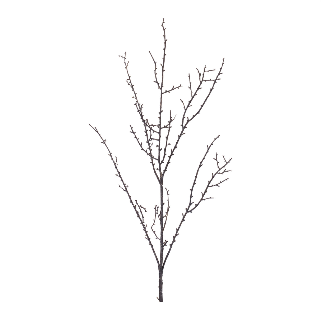 Birch twig branch (set of 6)
