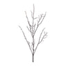 Birch Twig Branch (Set of 6)