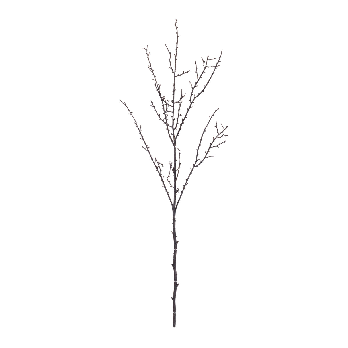 Birch twig branch (set of 6)