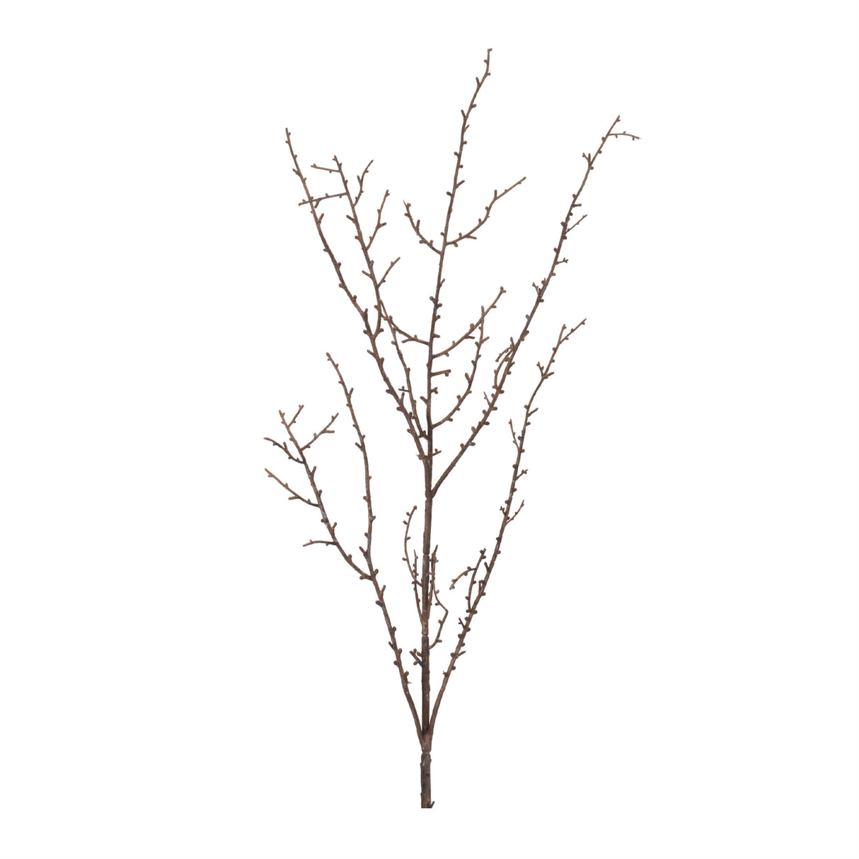 Birch twig branch (set of 6)