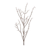 Birch twig branch (set of 6)