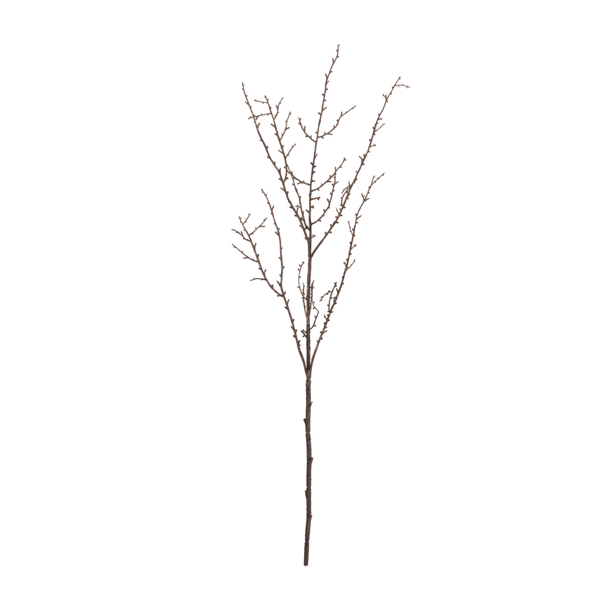 Birch twig branch (set of 6)