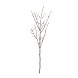Birch twig branch (set of 6)