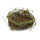 Twig-bird-nest-with-moss-(set-of-6)-Decorative-Objects