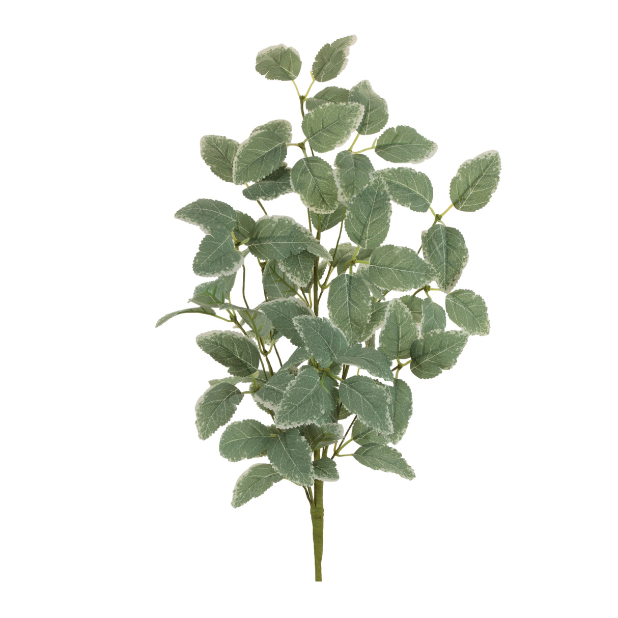 Variegated foliage spray (set of 2)