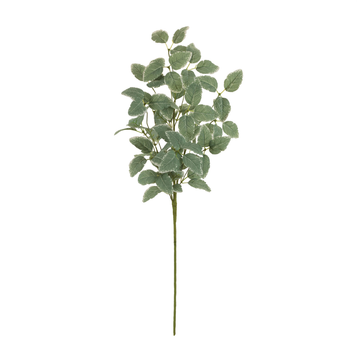 Variegated foliage spray (set of 2)
