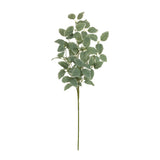 Variegated foliage spray (set of 2)