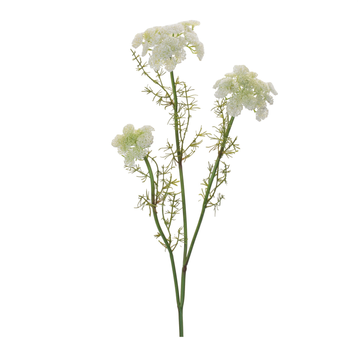 Queen anne's lace floral spray (set of 6)