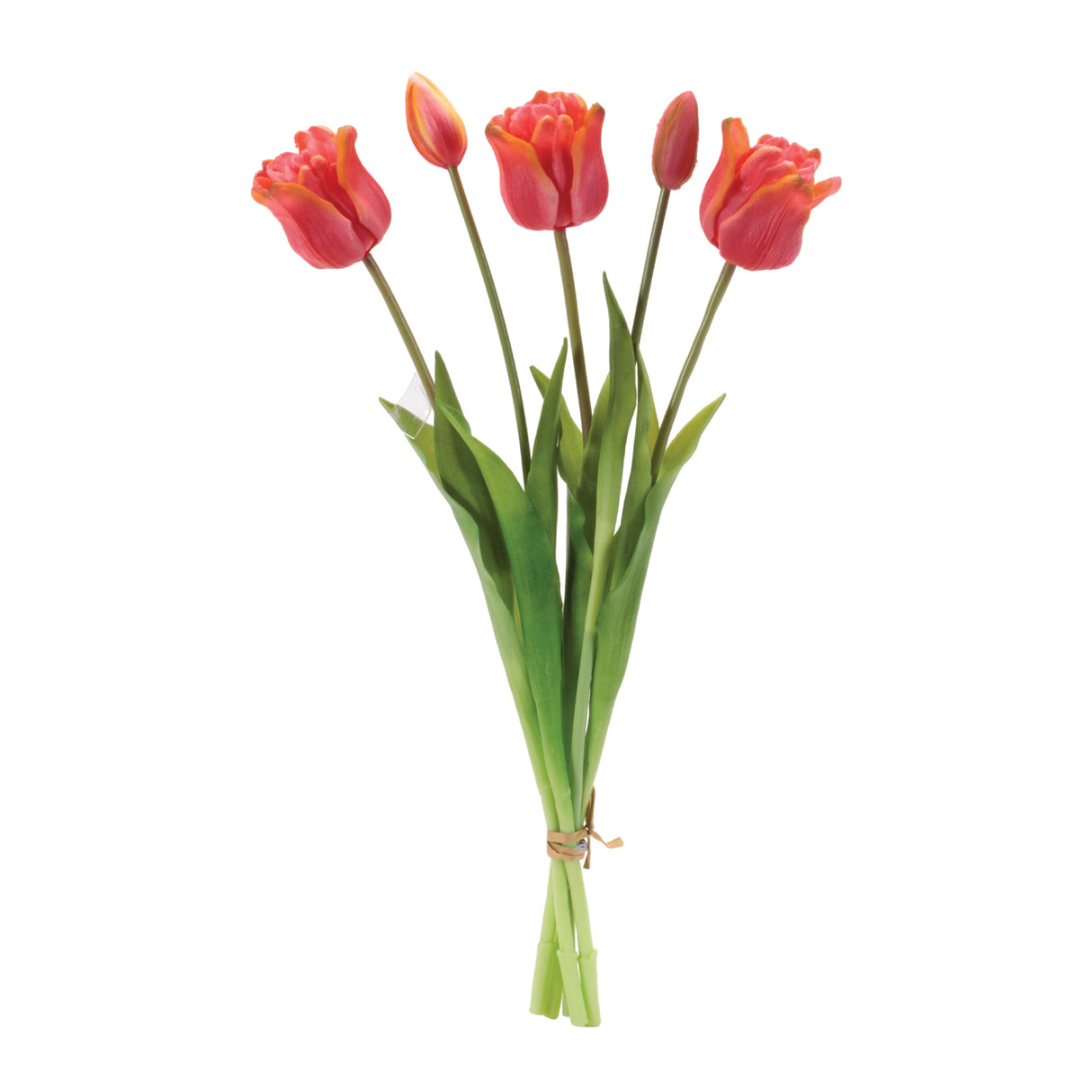 Tulip floral bundle (set of 2)