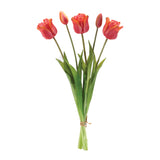 Tulip floral bundle (set of 2)