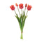Tulip floral bundle (set of 2)