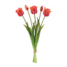Tulip Floral Bundle (Set of 2)